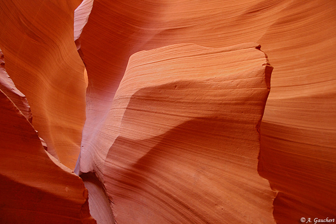 Lower Antelope